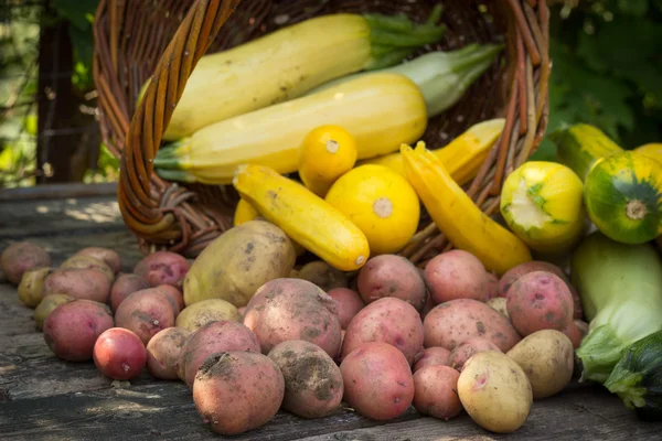 Jaune, courgettes vertes, pommes de terre, sol taché sur vieux t en bois — Photo