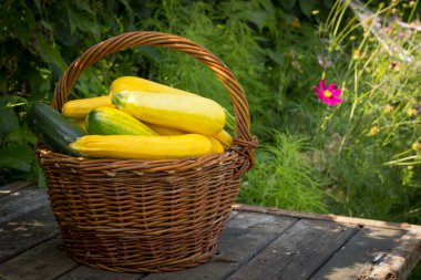 eski ahşap masa üstü bir hasır üzerinde sarı, yeşil kabak 