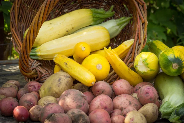 Jaune, courgettes vertes, pommes de terre, sol taché sur vieux t en bois — Photo