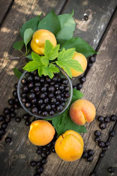 Fresh apricots, black currant in a glass bowl transparent scatte — Stock Photo, Image