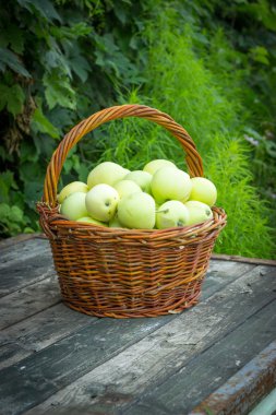 Beyaz elma çeşitli Papirovka üzerinde eski bir woode hasır sepet içinde