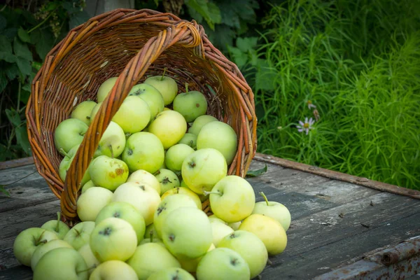 Varietà di mela bianca Papirovka in un cesto di vimini su un vecchio legnoso — Foto Stock