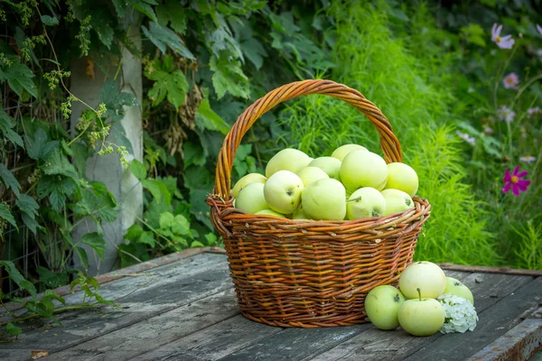 Witte apple verscheidenheid Papirovka in een rieten mand op een oude woode — Stockfoto