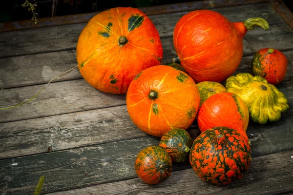 Patisson lite gult, orange pumpa på en trä runda gamla flik — Stockfoto