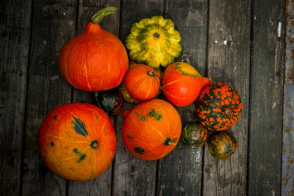 Patisson pequeno amarelo, abóbora laranja em uma aba velha redonda de madeira — Fotografia de Stock