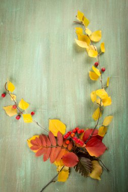 sonbahar yaprakları huş ağacı, üvez, rowan meyve bir backgrou üzerinde