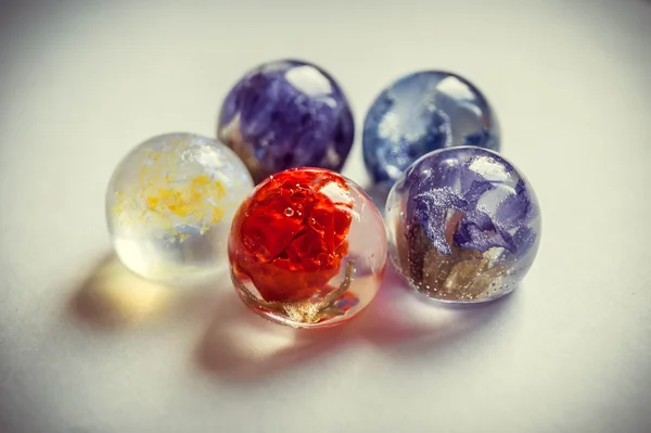 Bitkiler içinde kristallerle 