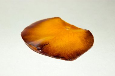 Epoksi reçine içinde gül yaprağı