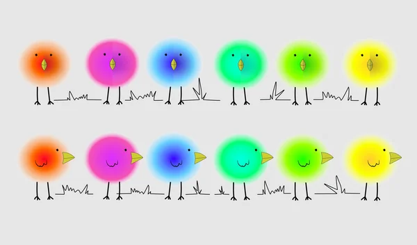 Fluffy bright birds — Stock Vector