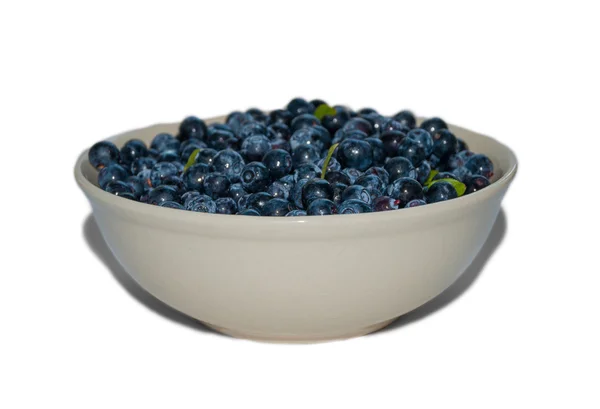 Blueberry 1 — Stock Photo, Image