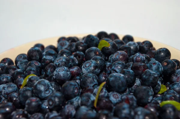 Blueberry  close-up — Stock Photo, Image