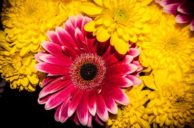 Vintage çiçek yakın çekim