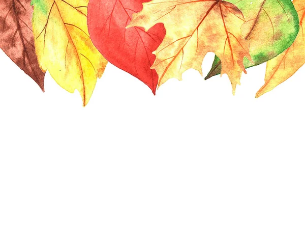 Watercolor autumn leaves. — Stock Photo, Image