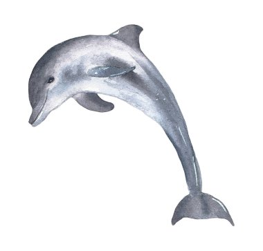 Beyaz arka planda izole edilmiş suluboya yunuslar. Deniz altı dünyası. Deniz altı hayvanı.