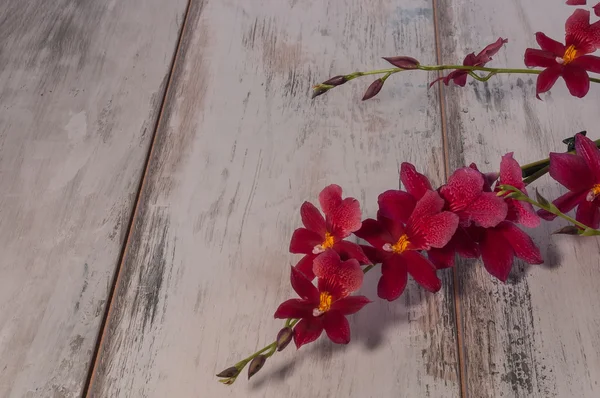 Arka plan ile masaya çiçek