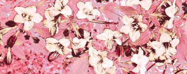 Kırmızı Gül Madalyası. Pembe Tropikal Fotoğraf. Kahverengi ipeksi doku. Mor Moda Elementi. Magenta Flora Dekorasyonu. Pastel Güz Arkaplanı. Bej Soyut Sancak.