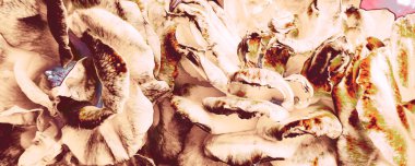 Pembe Çiçek Şablonu. Kahverengi Gül Dekorasyonu. Beyaz Kadın Kalıbı. Kızıl Popüler Sunum. Pastel Çevre Duvarkağıdı. Mor Çokrenkli Çizim. Magenta Soyut Yazdırma.