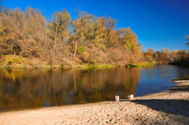 Görkemli Şelale. Mavi Sonbahar Diyarı. Sarı Puslu Orman. Turuncu Günışığı Şablonu. Altın Orman Arkaplanı. Sonbahar elementi. Majestic Dağı. Soyut Doku.