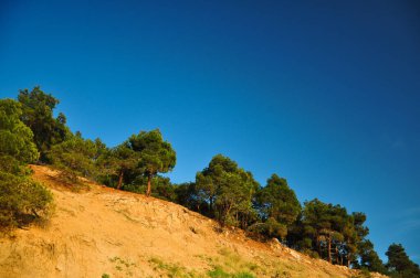 Yeşil Sonbahar Yeşilliği. Sarı Parlak Orman. Kahverengi sonbahar elementi. Altın Doğal Manzara. Tropik Şablon. Turuncu renkli doğa. Sonbahar Sonbaharı. Soyut Arkaplan.