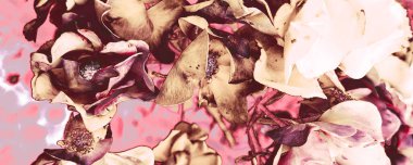 Kırmızı Bitki Yazdırma. Pastel Bitki Bayrağı. Mor Pastel Sanat Kağıdı. Magenta Moda Posteri. Beyaz Çiçek Şablonu. Bej rengi Güzellik Sunumu. Kahverengi Soyut Çizim.