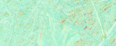 Parlak Çevre Duvar Kağıdı. Gök Ormanı sıçraması. Turuncu Kadın Tasarımı. Buz Tarzı Posteri. Pastel Egzotik Şablon. Mavi Meditasyon Fotoğrafı. Yeşil Soyut Kağıt.