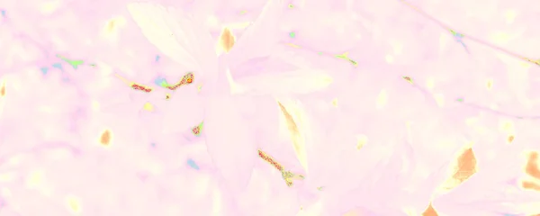 Pastell Botanic Print Vorhanden Pink Forest Dekor Blaues Pastellkreidepapier Helle — Stockfoto