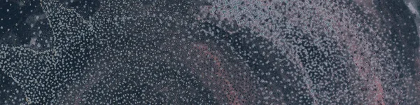 Космический Плакат Зеленый Шелковый Фон Черно Белый Образ Серый Принт — стоковое фото
