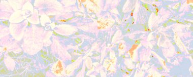 Mavi botanik baskısı. Turuncu Yaprak dokusu. Pembe İpek Arkaplan. Beyaz Serin Kanva. Parlak Fantezi Sancağı. Pastel Fresh Banner. Parlak Soyut Doku.