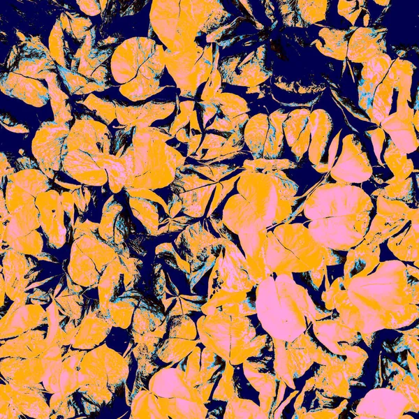 Orange Leaves Decor. Navy Blue Flower Background. Dark Fresh Background. Pink Elegant Texture. Minimal Graffiti. Night Wedding Background. Flower Illustration. Abstract Splash.