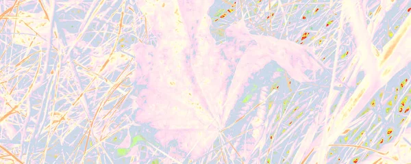 Блакитний Квітковий Шаблон Pastel Flower Image White Pastel Art Paper — стокове фото