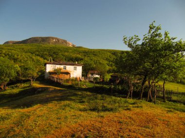 Altın sonbahar manzarası. Turuncu Gündoğumu Doğası. Mavi Sonbahar sezonu. Yeşil Doğal Orman. Botanik doku. Altın Güzellik Turizmi. Sonbahar Arkaplanı. Özet Orman.