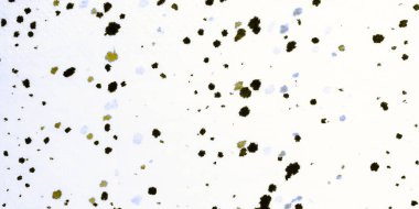 Hakki Geometrik Tasarım. Mavi Sanatsal İllüzyon. Parlak Sanatsal Doku. Beyaz Fırçalı Kağıt. Siyah Egzotik Panorama. Kirli Sanat Tasarımı. Dağınık Panorama. Soyut Çizim.