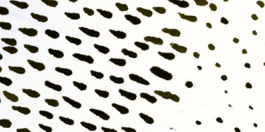 Parlak Sanatsal Doku. Hakki Moda dokusu. Mavi Sembol Sanat Eserleri. Beyaz Akrilik Kartpostal. Kara Fantezi Yazdırma. Kirli Sanat Tasarımı. Sıvı Graffiti. Soyut Dekor.