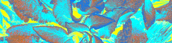 Барвисті Садові Листівки Синя Зелень Задньому Плані Неоновою Елегантною Текстурою — стокове фото