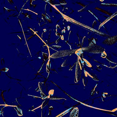 Deniz mavisi botanik şablonu. Dark Palm baskısı. Azure Minimal Graffiti. Mavi Tarz Arkaplanı. Taze geçmiş. Turuncu Kadın Tasarımı. Çiçek Arkaplanı. Soyut Çizim.