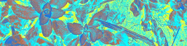 Azure Garden Wallpaper Тропічне Тло Неона Рожевий Популярний Банер Блакитний — стокове фото