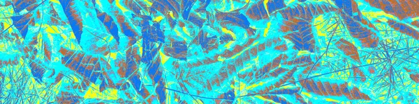 Яскравий Плакат Рослин Ілюстрація Лазурового Листя Помаранчевий Прохолодний Образ Барвистий — стокове фото