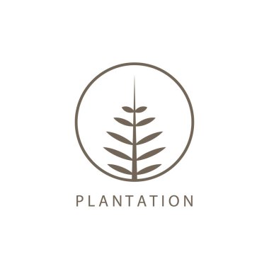 Plantasyon tasarım şablonu için basit yaprak çizgisi illüstrasyon çember logosu