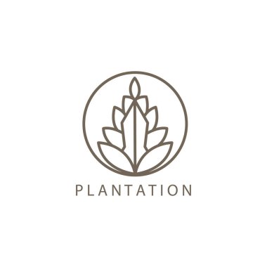 Plantasyon tasarım şablonu için basit yaprak çizgisi illüstrasyon çember logosu