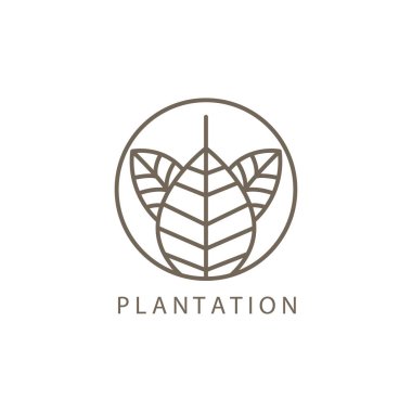 Plantasyon tasarım şablonu için basit yaprak çizgisi illüstrasyon çember logosu