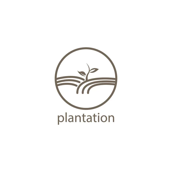 Illustration Logo Plantation Ligne Simple Modèle Ornement Naturel — Image vectorielle