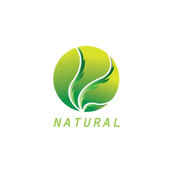 Logotipo Pétala Elemento Natureza Ilustração Círculo Design Vetor Modelo Ornamento —  Vetores de Stock
