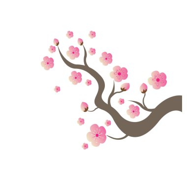 Sakura Güzellik Çiçeği Vektör Resim Tasarımı