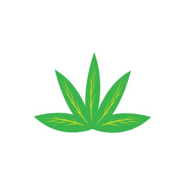 nane yaprağı renk vektör tasarımı simgesi