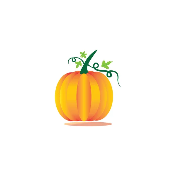 Pumpkin Logo Illustration Color Icon Vector Design — Stock Vector