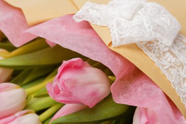 Beyaz arka plan üzerinde güzel pembe çiçekler. Lale