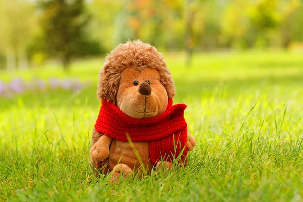 Toy hedgehog sitting on the green grass in the park near the tree with red scarf — Stock Photo, Image