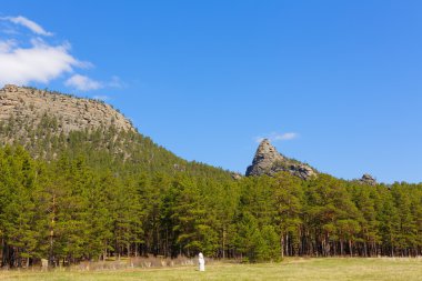 burabai dağın ormanda