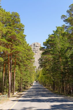 burabai ormanında dağ yolu