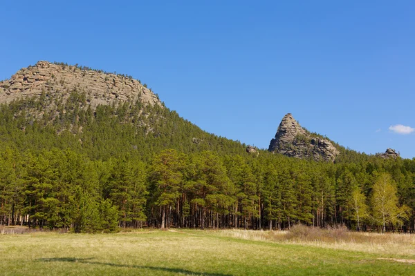 Mountain forest in burabai — Stock Photo, Image